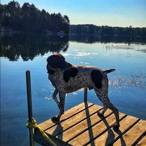 Meet your Posher, Kristin